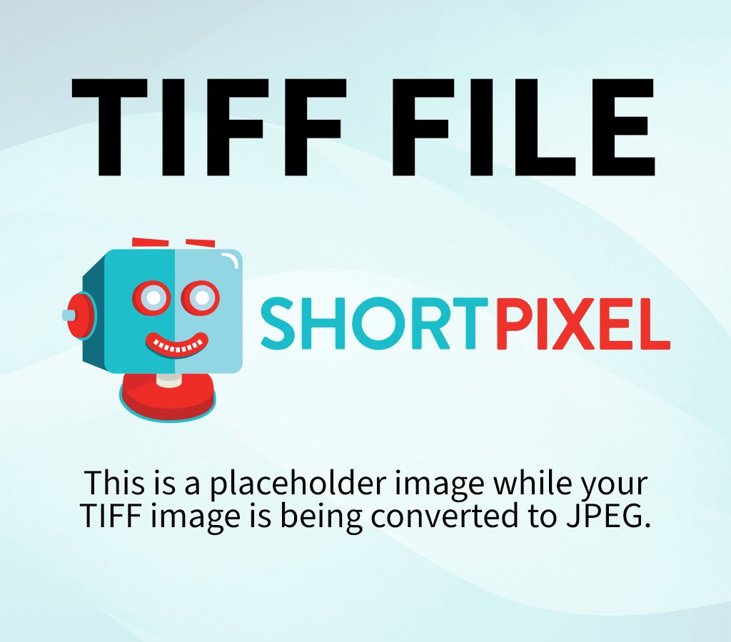 My Interview with The Bad Guys Director Pierre Perifel and  Author Aaron Blakey